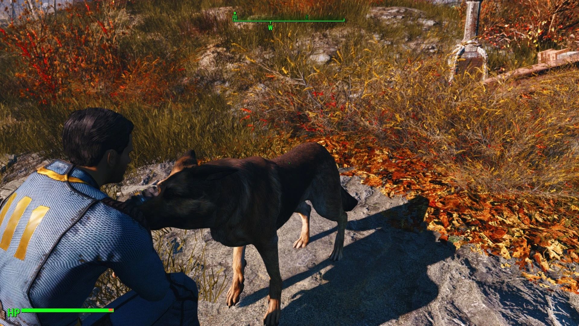 Pet - Call - Feed Dogmeat mod for Fallout 4