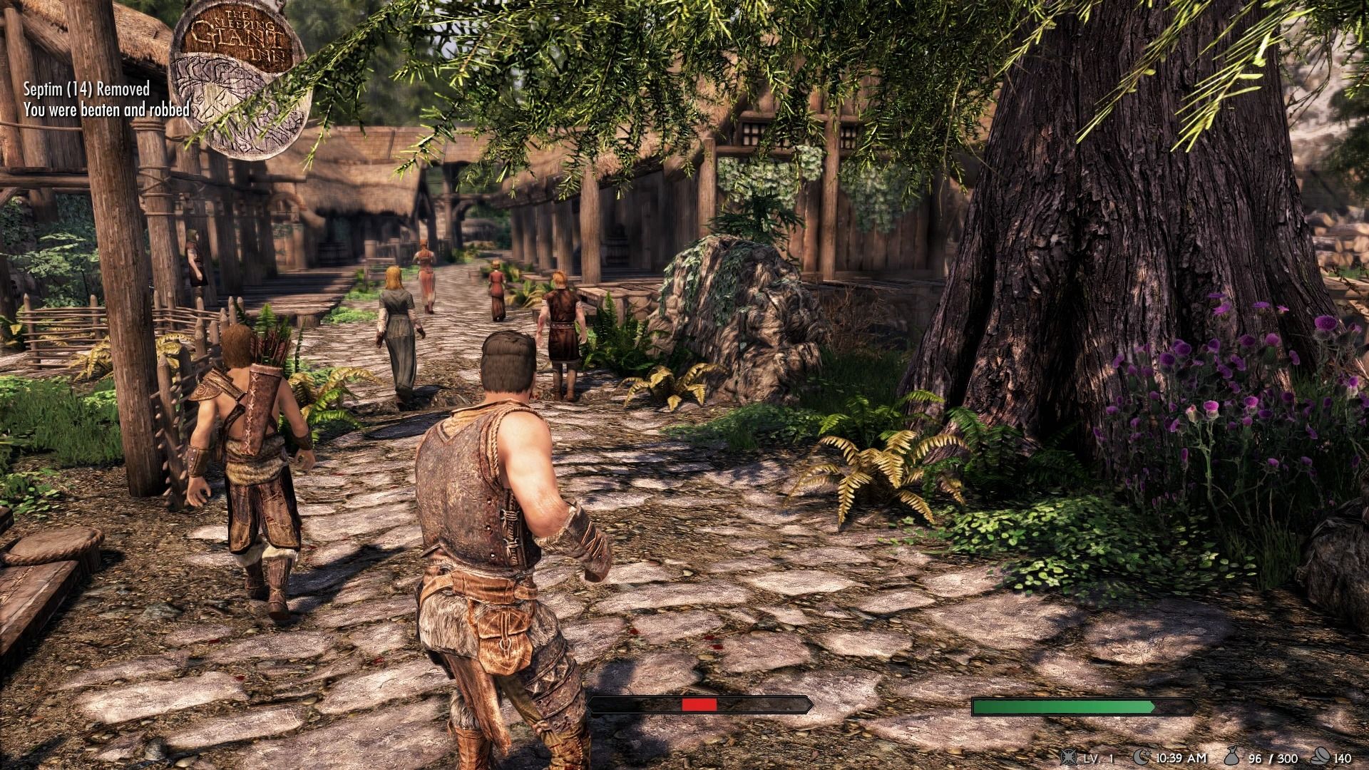 Blind Rage - Brawl Anyone Blind Rage - Brawl Anyone mod for The Elder Scrolls V: Skyrim Special Edition