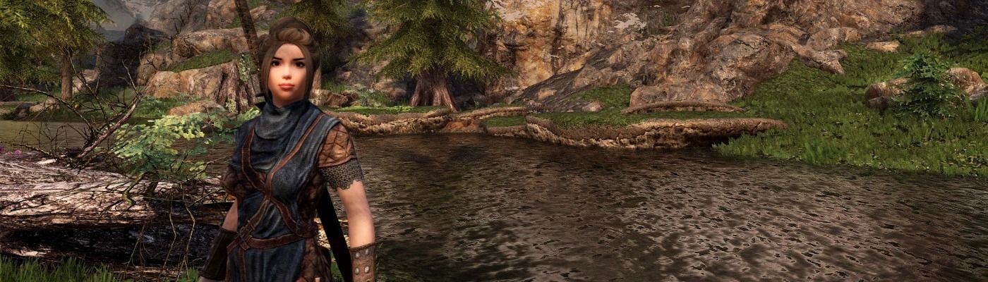 Deflection - Dynamic Combat Overhaul mod for The Elder Scrolls V: Skyrim Special Edition