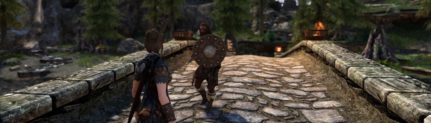 Deflection - Dynamic Combat Overhaul mod for The Elder Scrolls V: Skyrim Special Edition