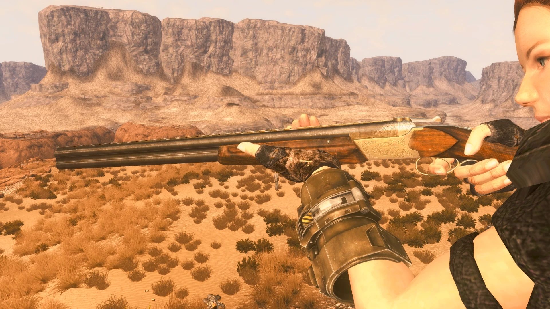 Double Rifle mod for Fallout: New Vegas