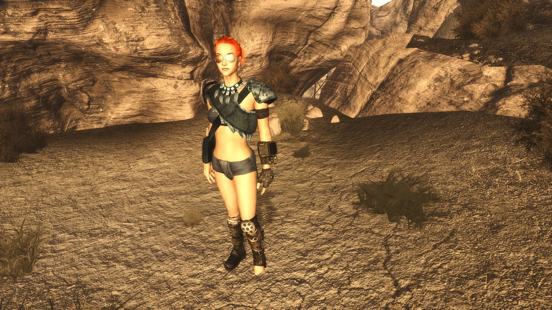 Companion Characteristics mod for Fallout: New Vegas