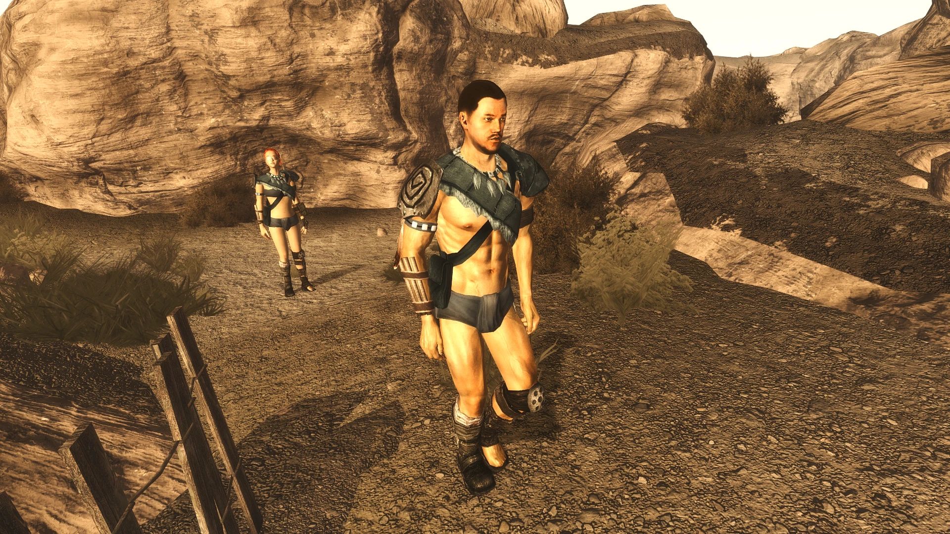 Companion Characteristics mod for Fallout: New Vegas