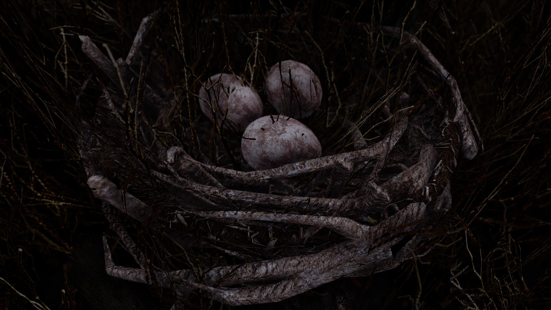 Kanjs - Bird Nests and Eggs  mod for The Elder Scrolls V: Skyrim Special Edition