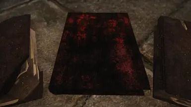 Kanjs - Books All In One Animated mod for The Elder Scrolls V: Skyrim Special Edition