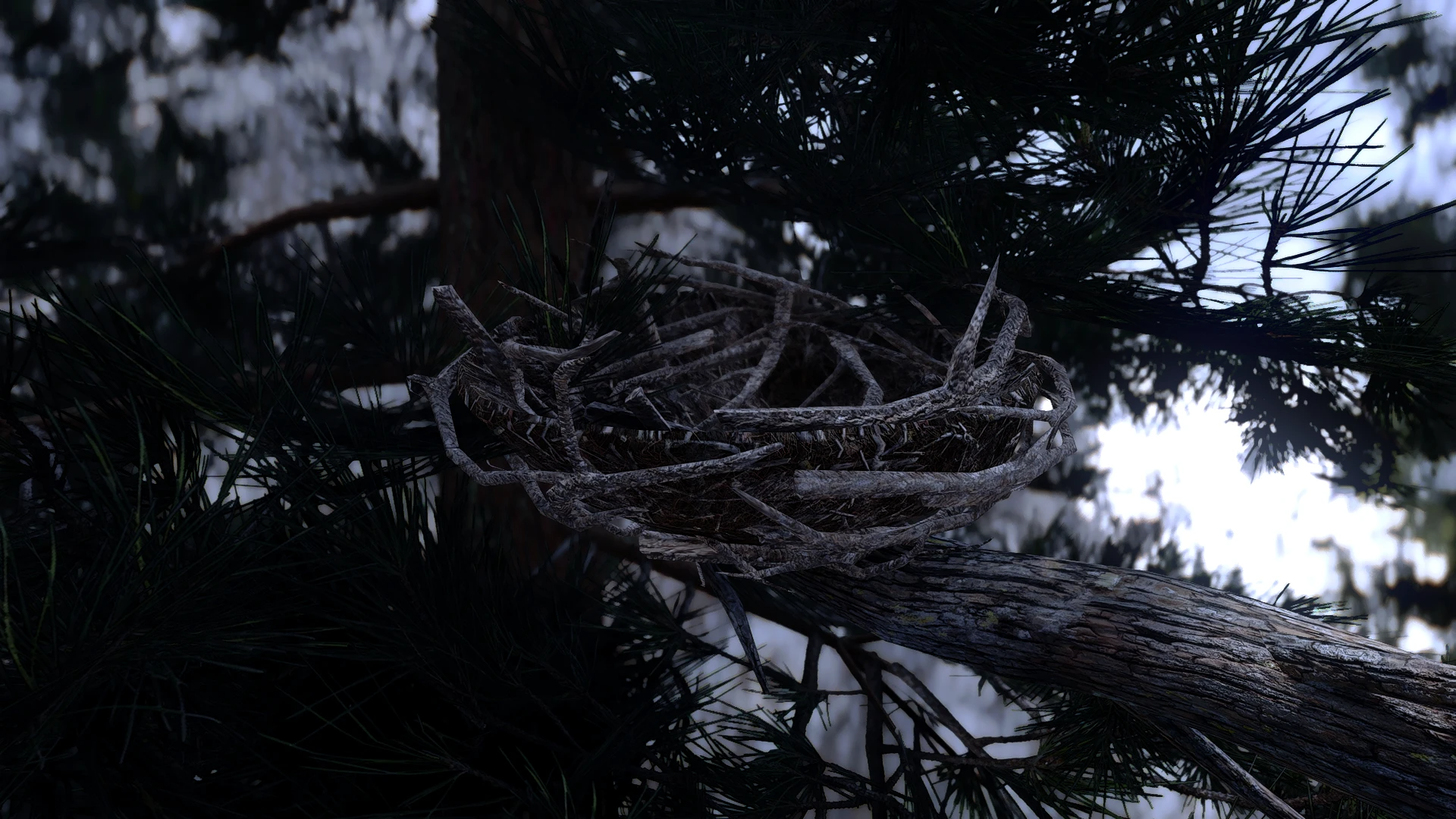 Kanjs - Bird Nests and Eggs  mod for The Elder Scrolls V: Skyrim Special Edition