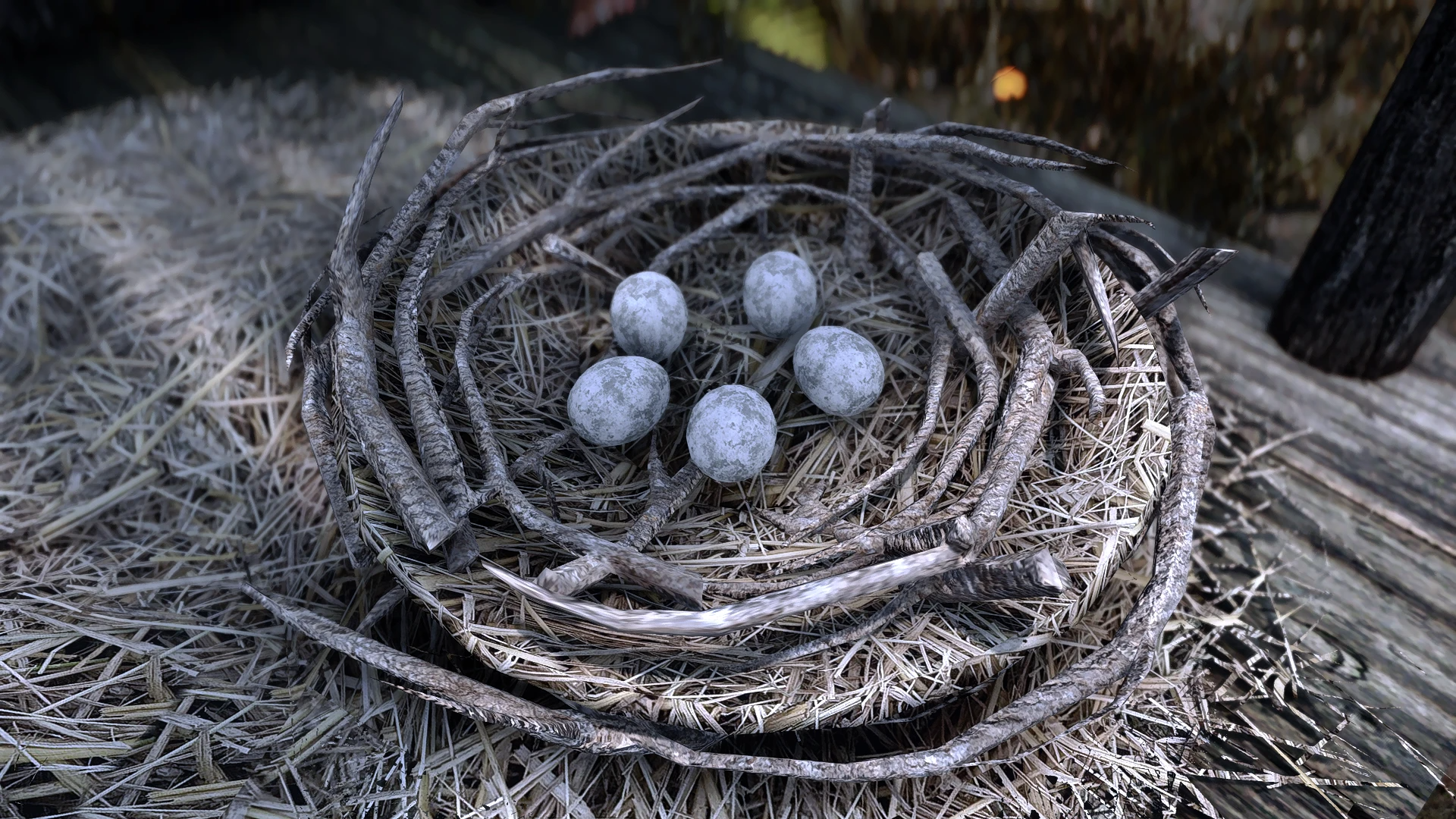 Kanjs - Bird Nests and Eggs  mod for The Elder Scrolls V: Skyrim Special Edition