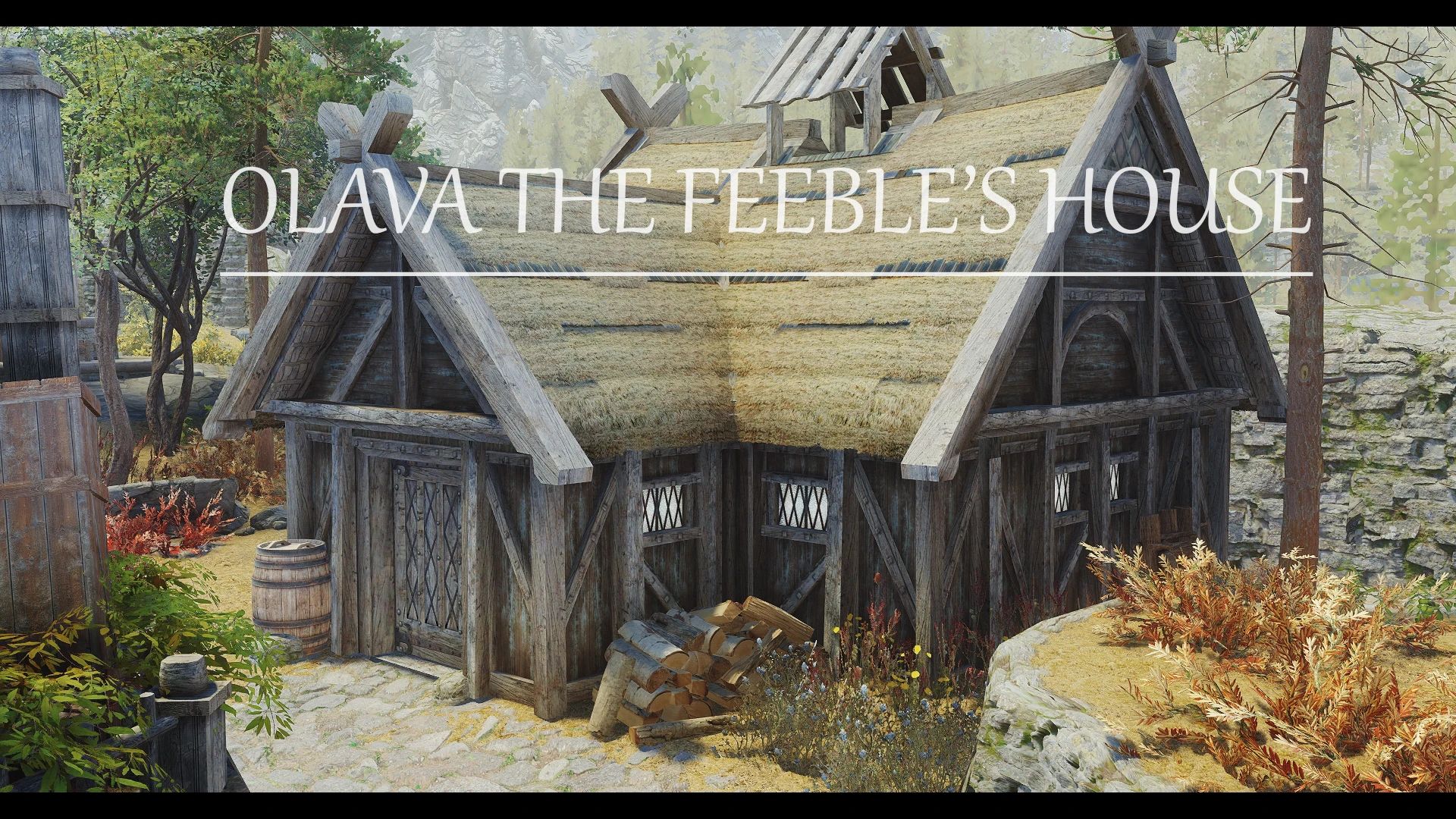 Tem's Houses - Olava The Feeble mod for The Elder Scrolls V: Skyrim Special Edition