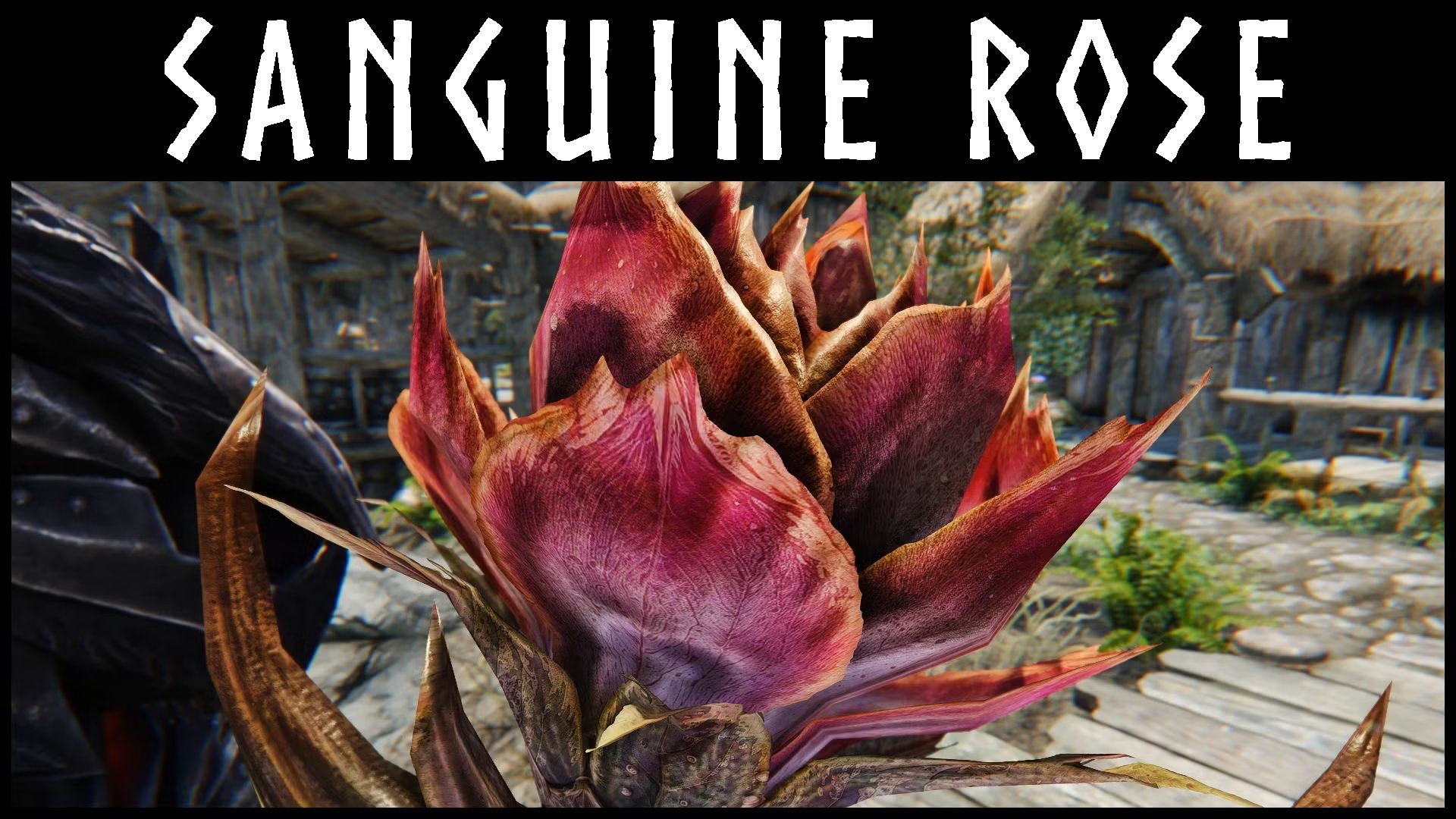 Kanjs - Sanguine Rose Animated mod for The Elder Scrolls V: Skyrim Special Edition