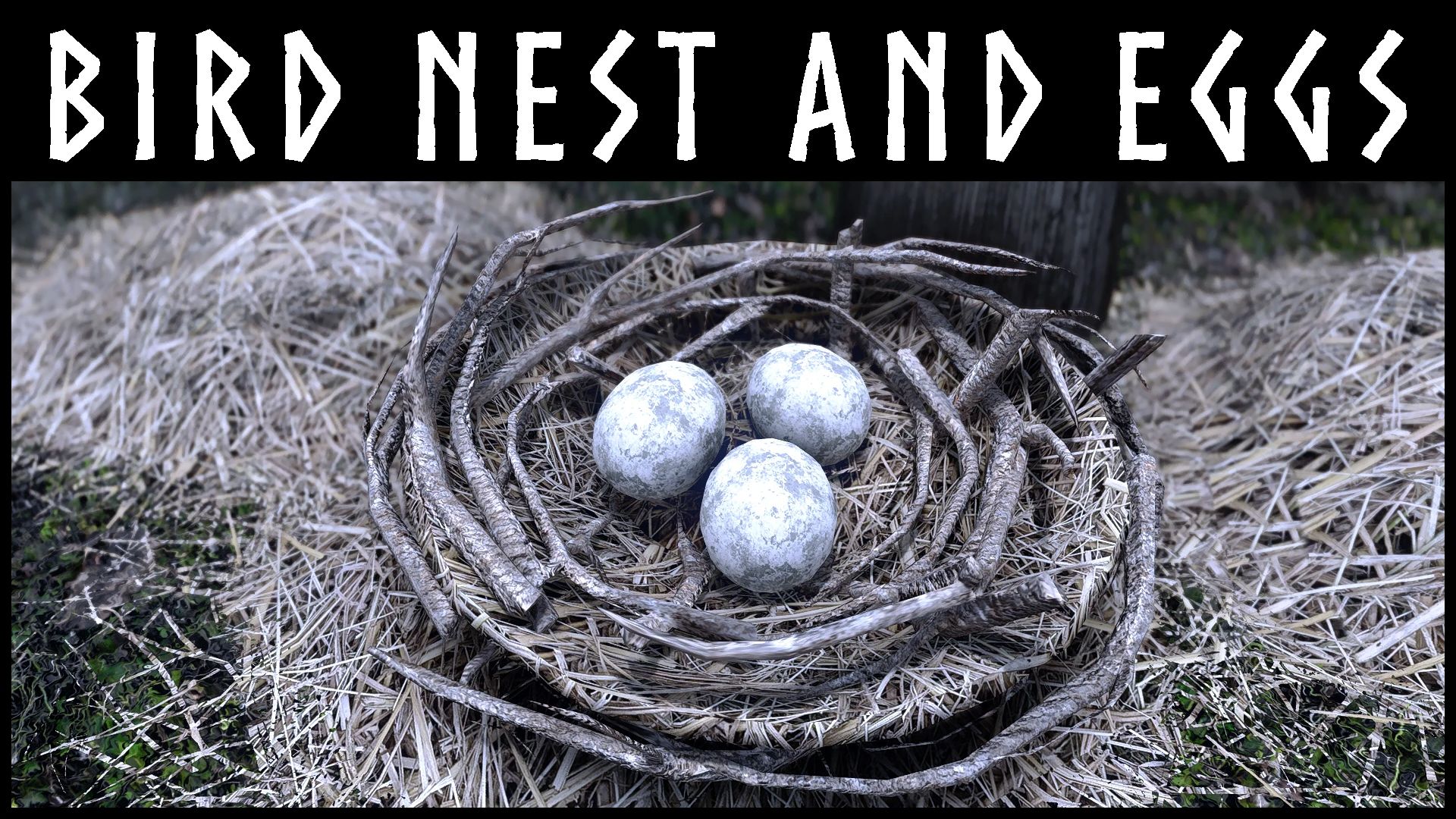 Kanjs - Bird Nests and Eggs  mod for The Elder Scrolls V: Skyrim Special Edition