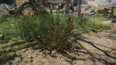 Shrubbery Symphony - Enhanced Greenery mod for The Elder Scrolls V: Skyrim Special Edition