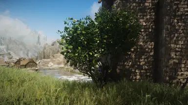 Shrubbery Symphony - Enhanced Greenery mod for The Elder Scrolls V: Skyrim Special Edition