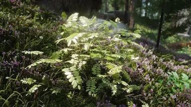 Shrubbery Symphony - Enhanced Greenery mod for The Elder Scrolls V: Skyrim Special Edition