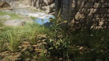 Shrubbery Symphony - Enhanced Greenery mod for The Elder Scrolls V: Skyrim Special Edition