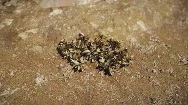 Shrubbery Symphony - Enhanced Greenery mod for The Elder Scrolls V: Skyrim Special Edition