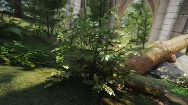 Shrubbery Symphony - Enhanced Greenery mod for The Elder Scrolls V: Skyrim Special Edition