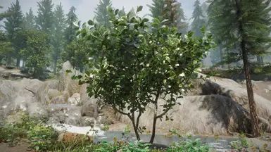 Shrubbery Symphony - Enhanced Greenery mod for The Elder Scrolls V: Skyrim Special Edition
