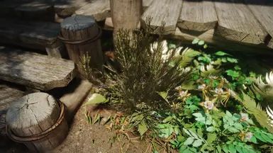 Shrubbery Symphony - Enhanced Greenery mod for The Elder Scrolls V: Skyrim Special Edition