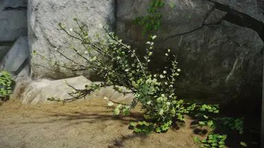Shrubbery Symphony - Enhanced Greenery mod for The Elder Scrolls V: Skyrim Special Edition