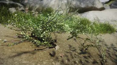Shrubbery Symphony - Enhanced Greenery mod for The Elder Scrolls V: Skyrim Special Edition