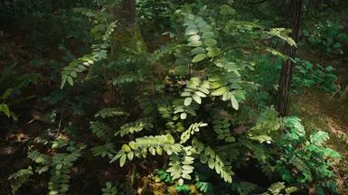 Shrubbery Symphony - Enhanced Greenery mod for The Elder Scrolls V: Skyrim Special Edition