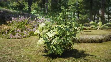Shrubbery Symphony - Enhanced Greenery mod for The Elder Scrolls V: Skyrim Special Edition