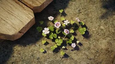 Shrubbery Symphony - Enhanced Greenery mod for The Elder Scrolls V: Skyrim Special Edition