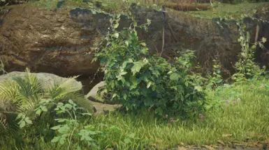 Shrubbery Symphony - Enhanced Greenery mod for The Elder Scrolls V: Skyrim Special Edition