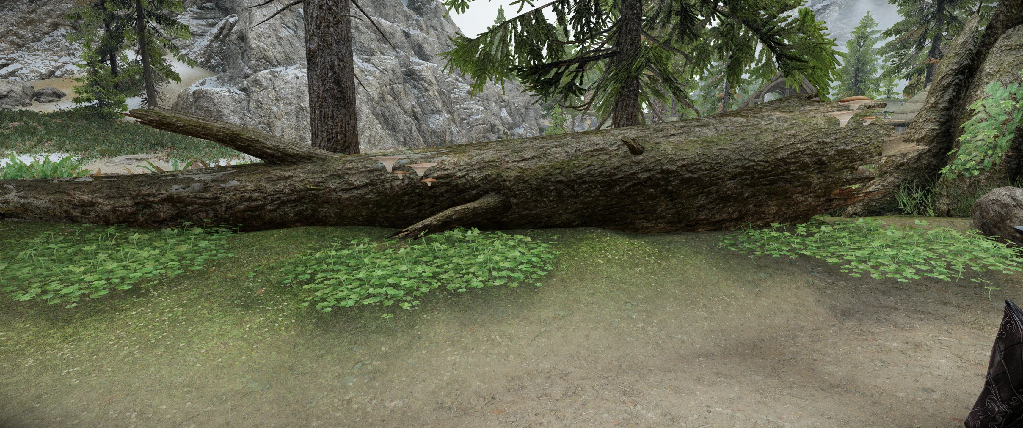 Northern Roads - Floating Objects Fix mod for The Elder Scrolls V: Skyrim Special Edition