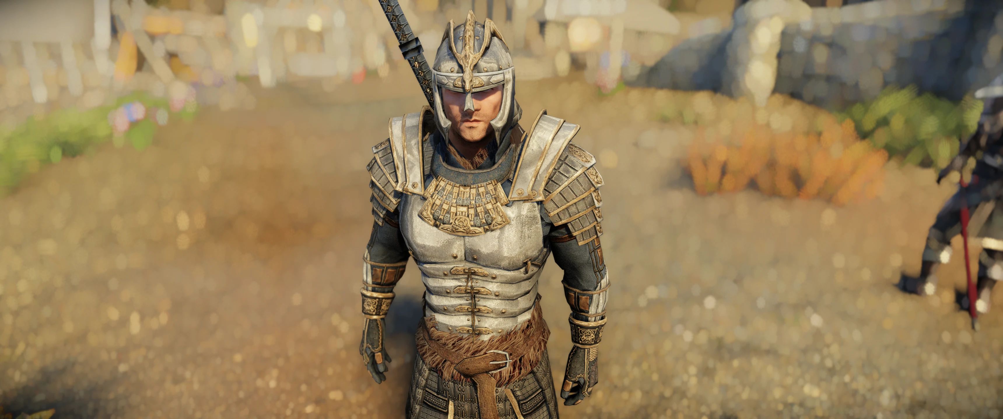 Blades Armors and Weapons - Environment Mapped mod for The Elder Scrolls V: Skyrim Special Edition