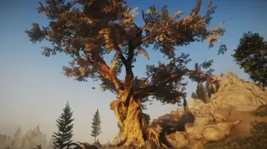 Yggdrasil - World Tree Redux mod for The Elder Scrolls V: Skyrim Special Edition