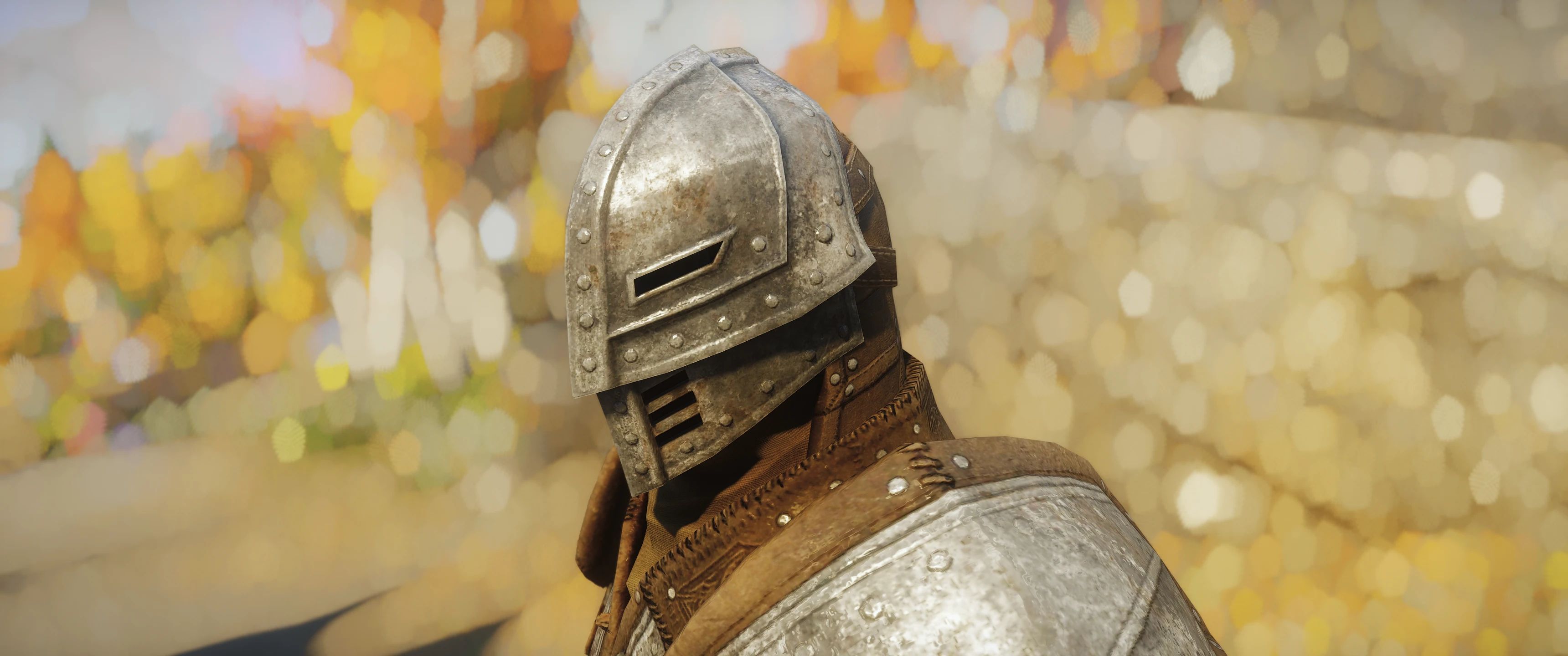 Spell Knight Armor - Environment Map Edit mod for The Elder Scrolls V: Skyrim Special Edition