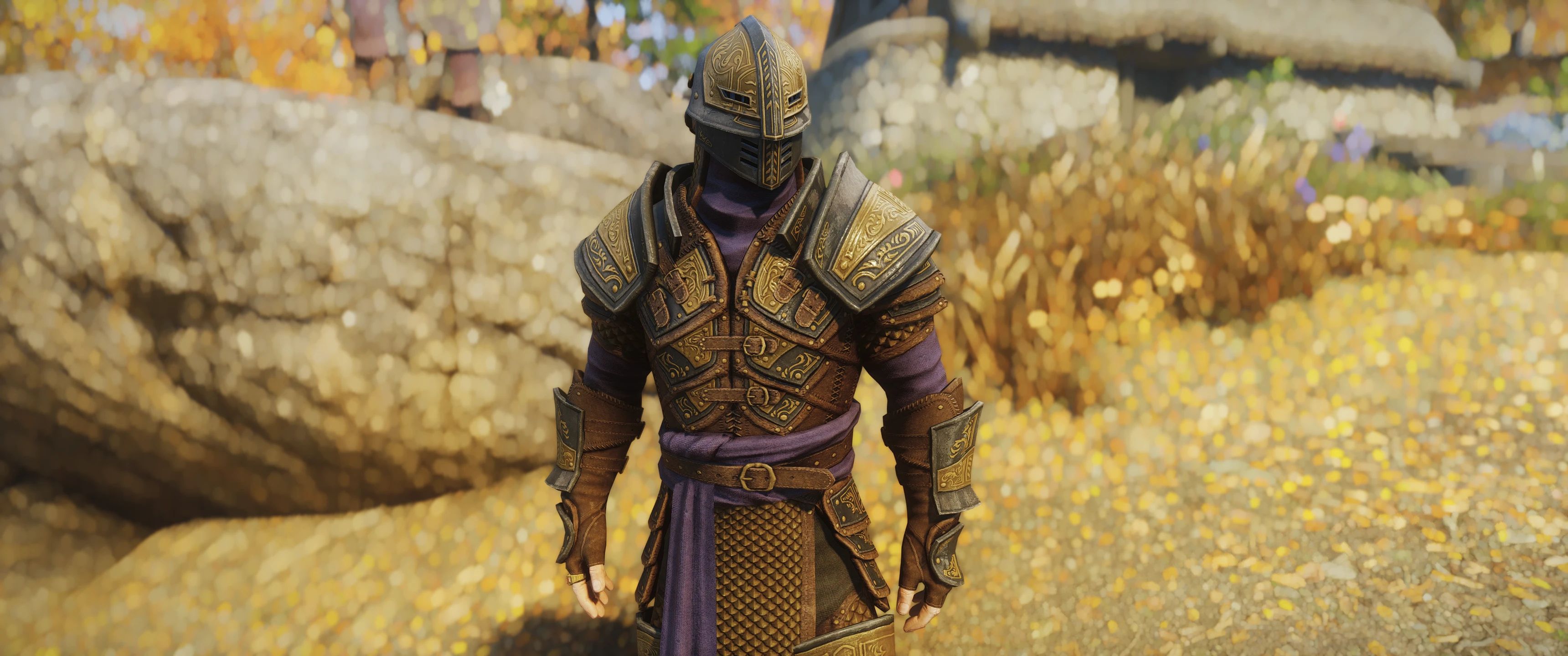 Spell Knight Armor - Environment Map Edit mod for The Elder Scrolls V: Skyrim Special Edition