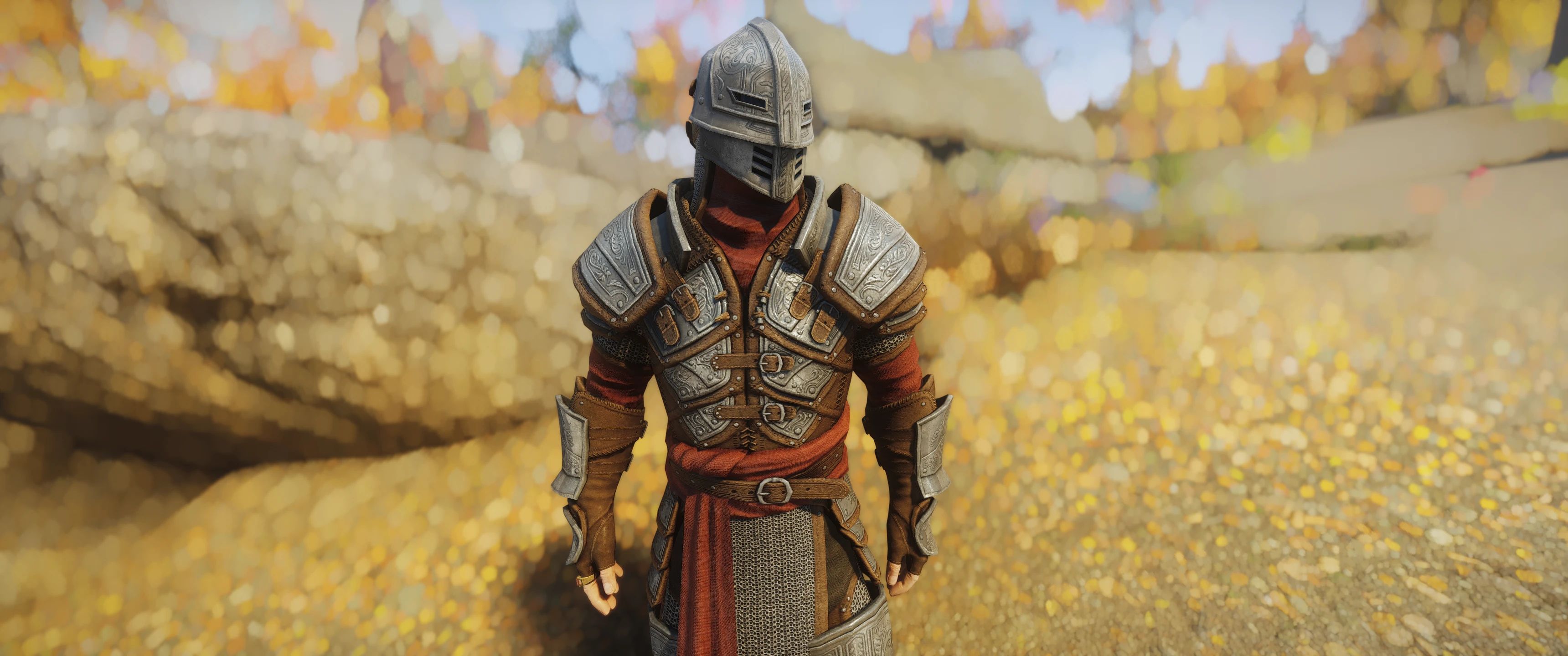 Spell Knight Armor - Environment Map Edit mod for The Elder Scrolls V: Skyrim Special Edition