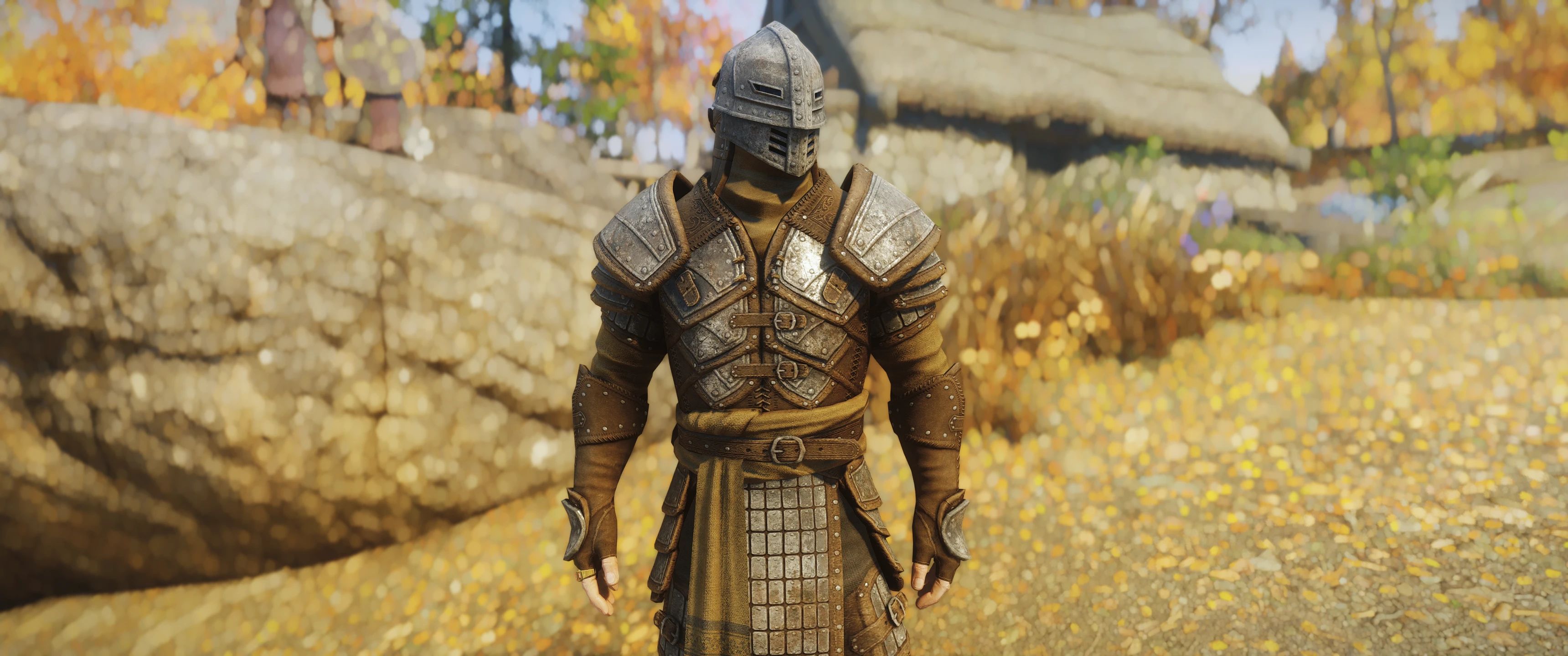 Spell Knight Armor - Environment Map Edit mod for The Elder Scrolls V: Skyrim Special Edition