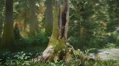 Forest Fragments - Forest Debris Expansion mod for The Elder Scrolls V: Skyrim Special Edition