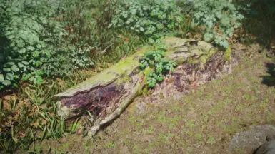 Forest Fragments - Forest Debris Expansion mod for The Elder Scrolls V: Skyrim Special Edition