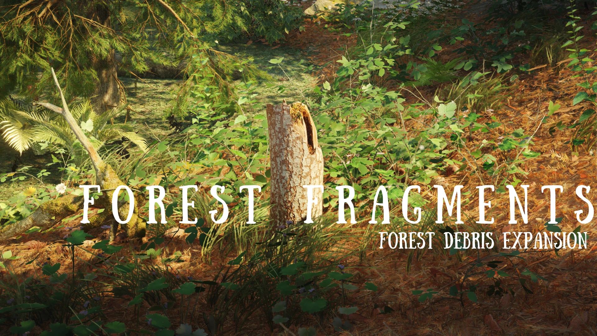 Forest Fragments - Forest Debris Expansion - LE mod for Skyrim