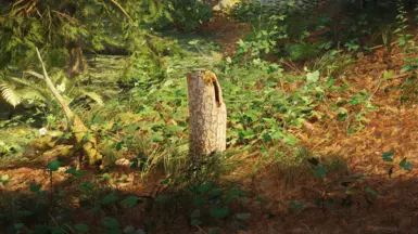 Forest Fragments - Forest Debris Expansion mod for The Elder Scrolls V: Skyrim Special Edition