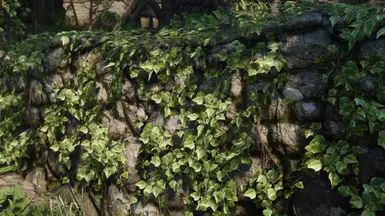 High Quality Ivy - LE mod for Skyrim