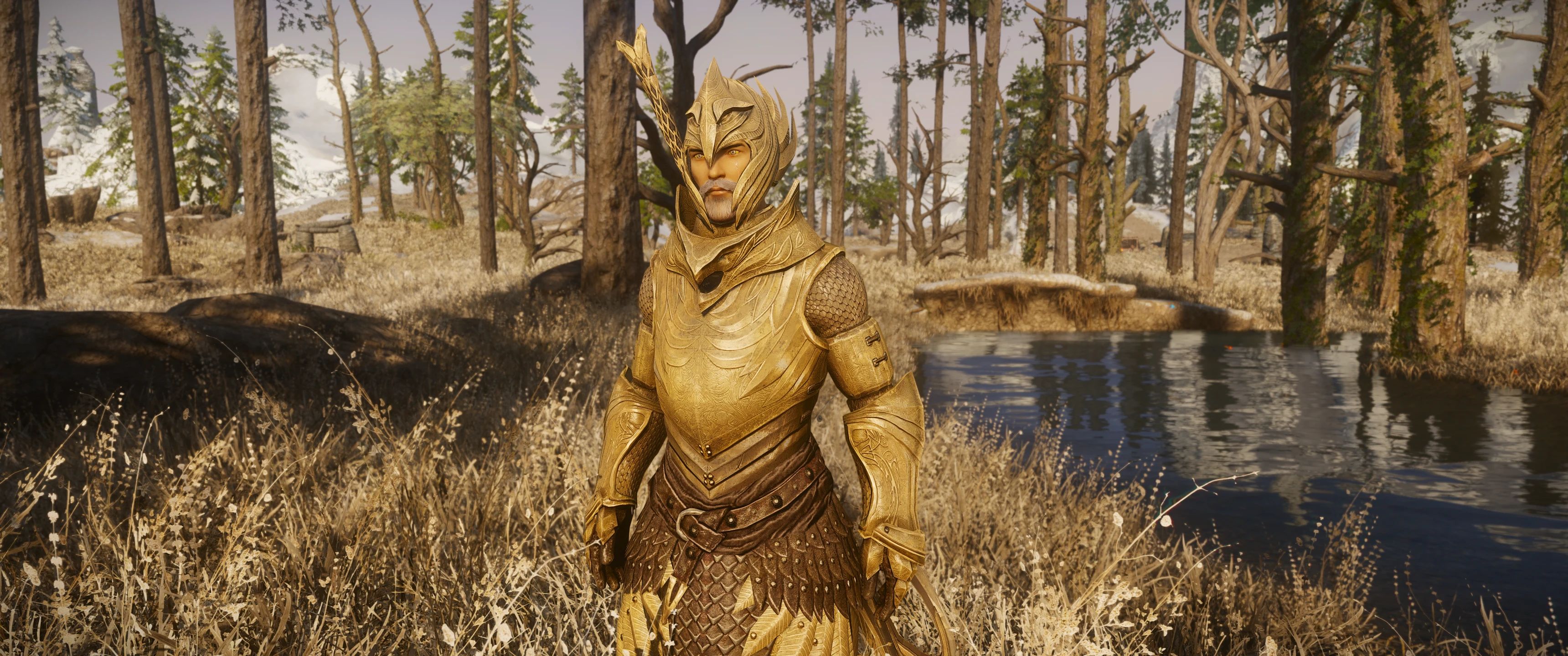 Elven Armors and Weapons - Environment Map Edit mod for The Elder Scrolls V: Skyrim Special Edition