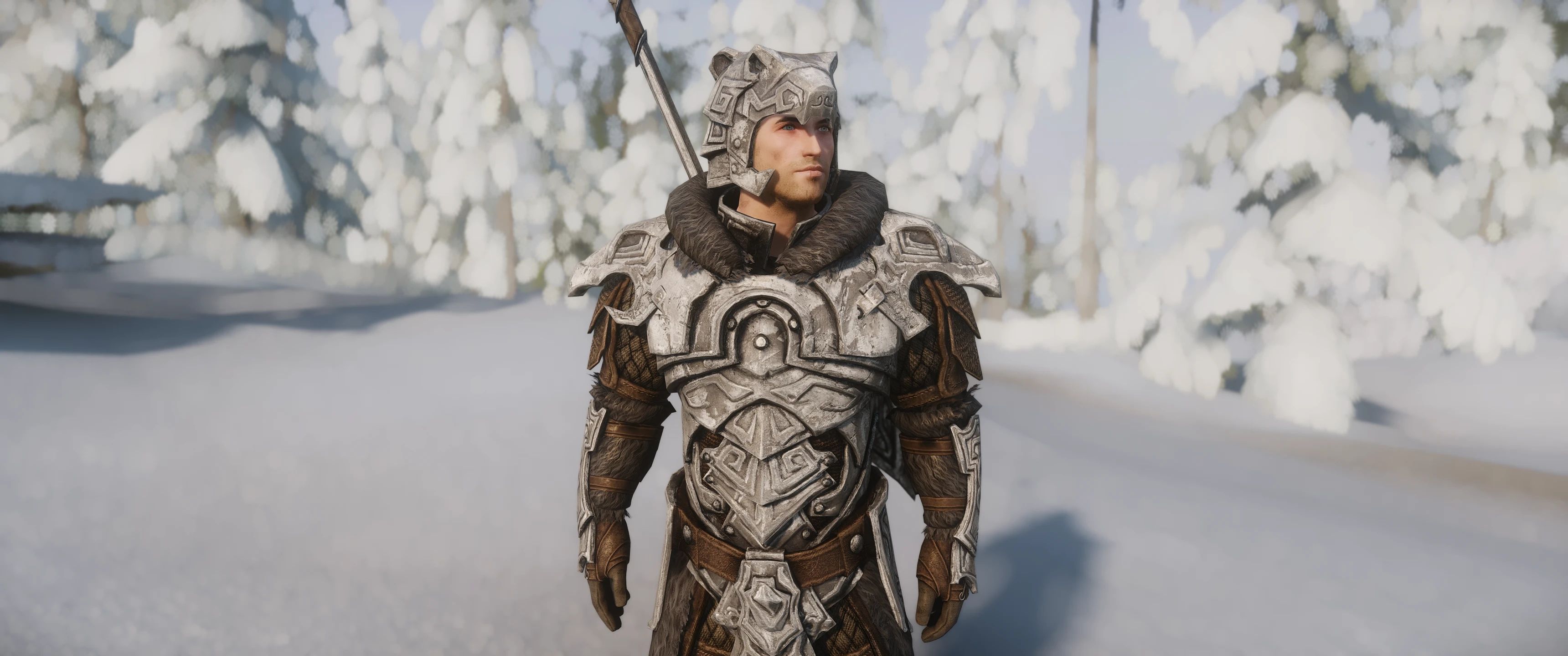 Nordic Armors and Weapons - Environment Map Edit mod for The Elder Scrolls V: Skyrim Special Edition