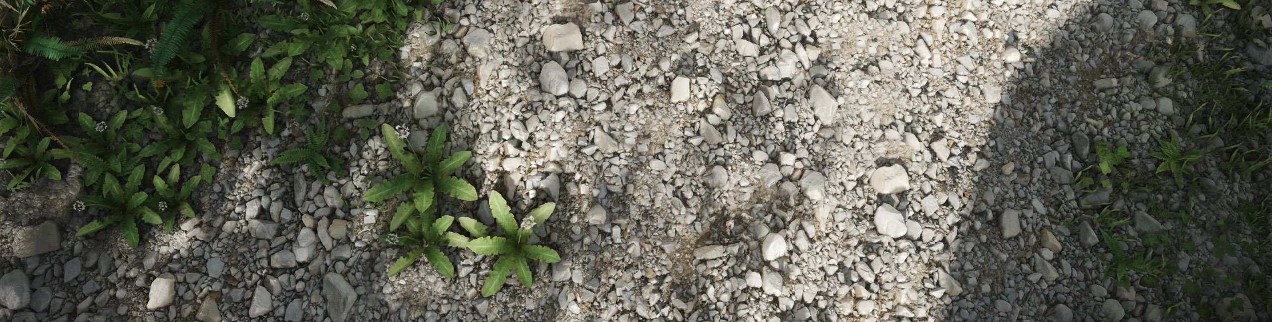 R - Rocky Mossy Complex Parallax for Northern Roads 2K-4k - CPM mod for The Elder Scrolls V: Skyrim Special Edition