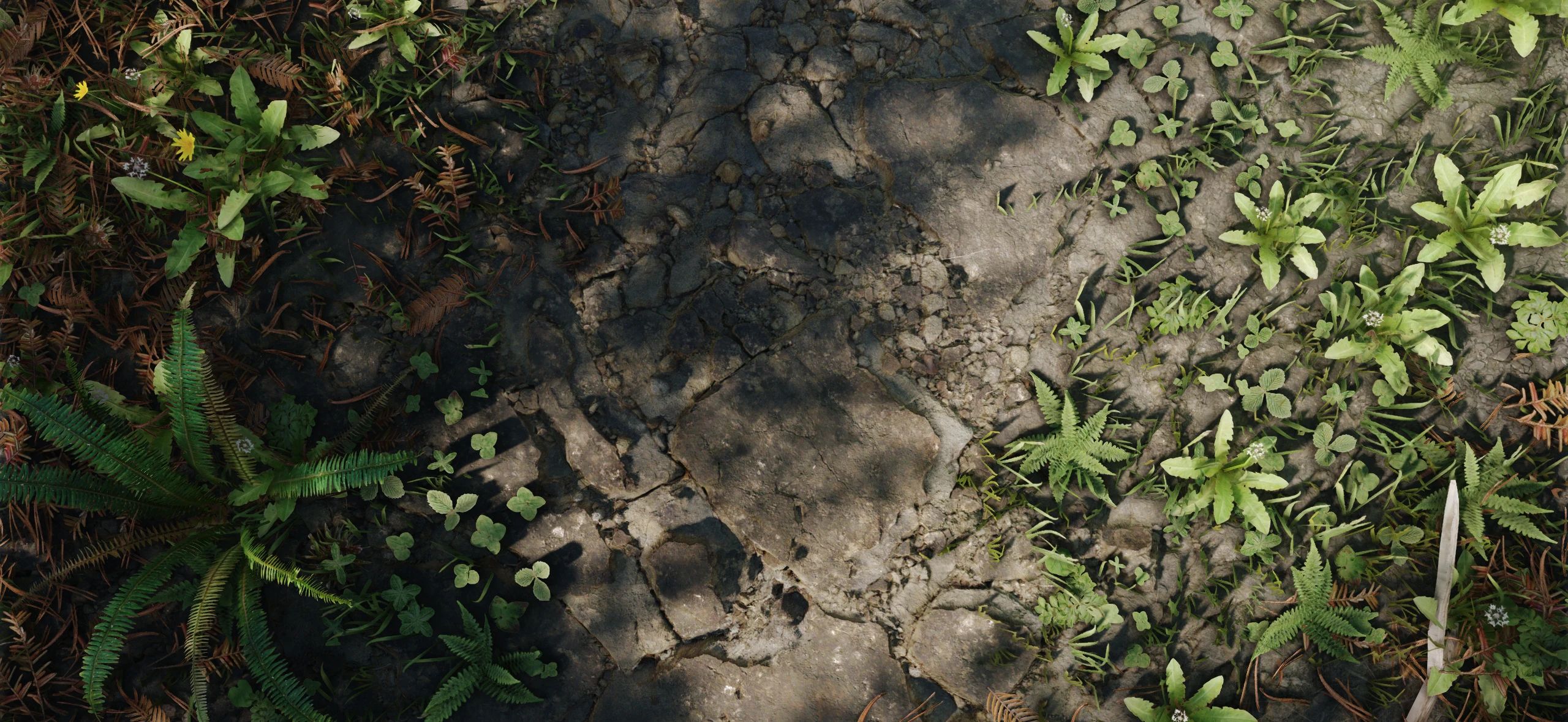 R - Rocky Mossy Complex Parallax for Northern Roads 2K-4k - CPM mod for The Elder Scrolls V: Skyrim Special Edition