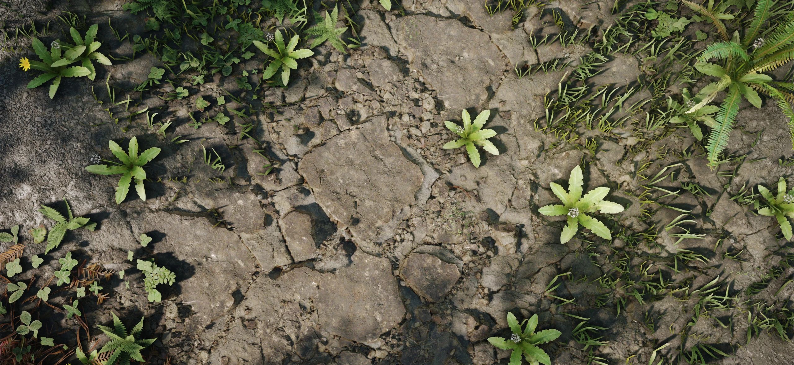 R - Rocky Mossy Complex Parallax for Northern Roads 2K-4k - CPM mod for The Elder Scrolls V: Skyrim Special Edition