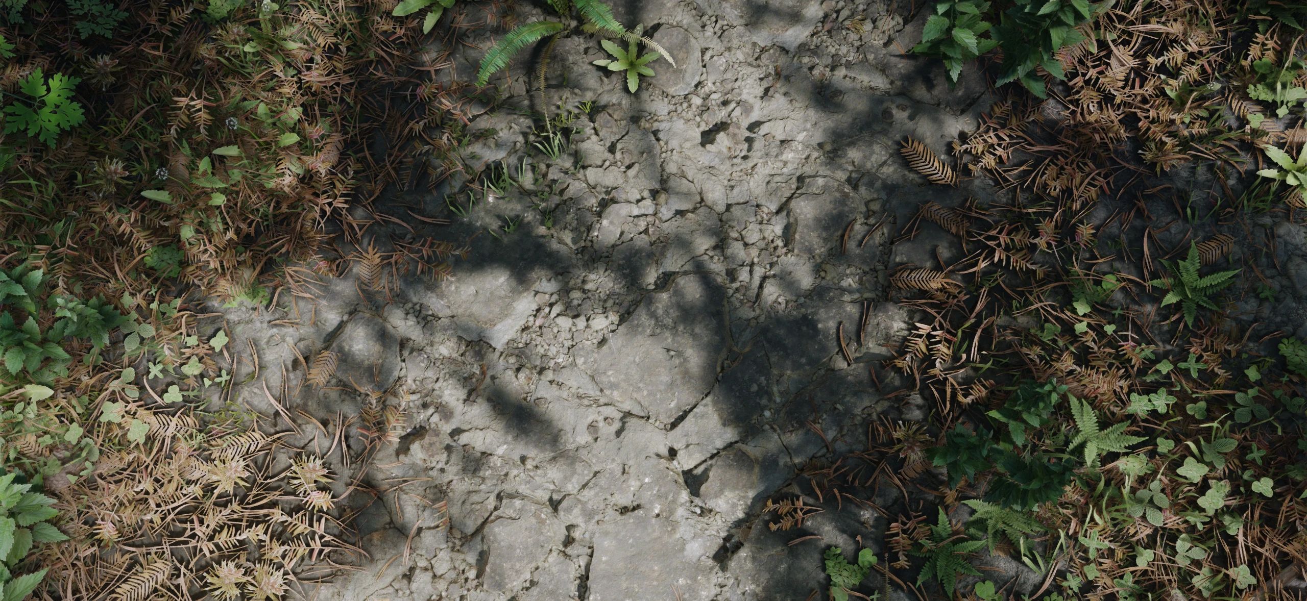 R - Rocky Mossy Complex Parallax for Northern Roads 2K-4k - CPM mod for The Elder Scrolls V: Skyrim Special Edition