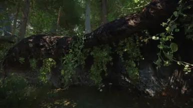 Dirt Cliffs Enhancement - High Quality Ivy mod for The Elder Scrolls V: Skyrim Special Edition