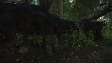 Dirt Cliffs Enhancement - High Quality Ivy mod for The Elder Scrolls V: Skyrim Special Edition