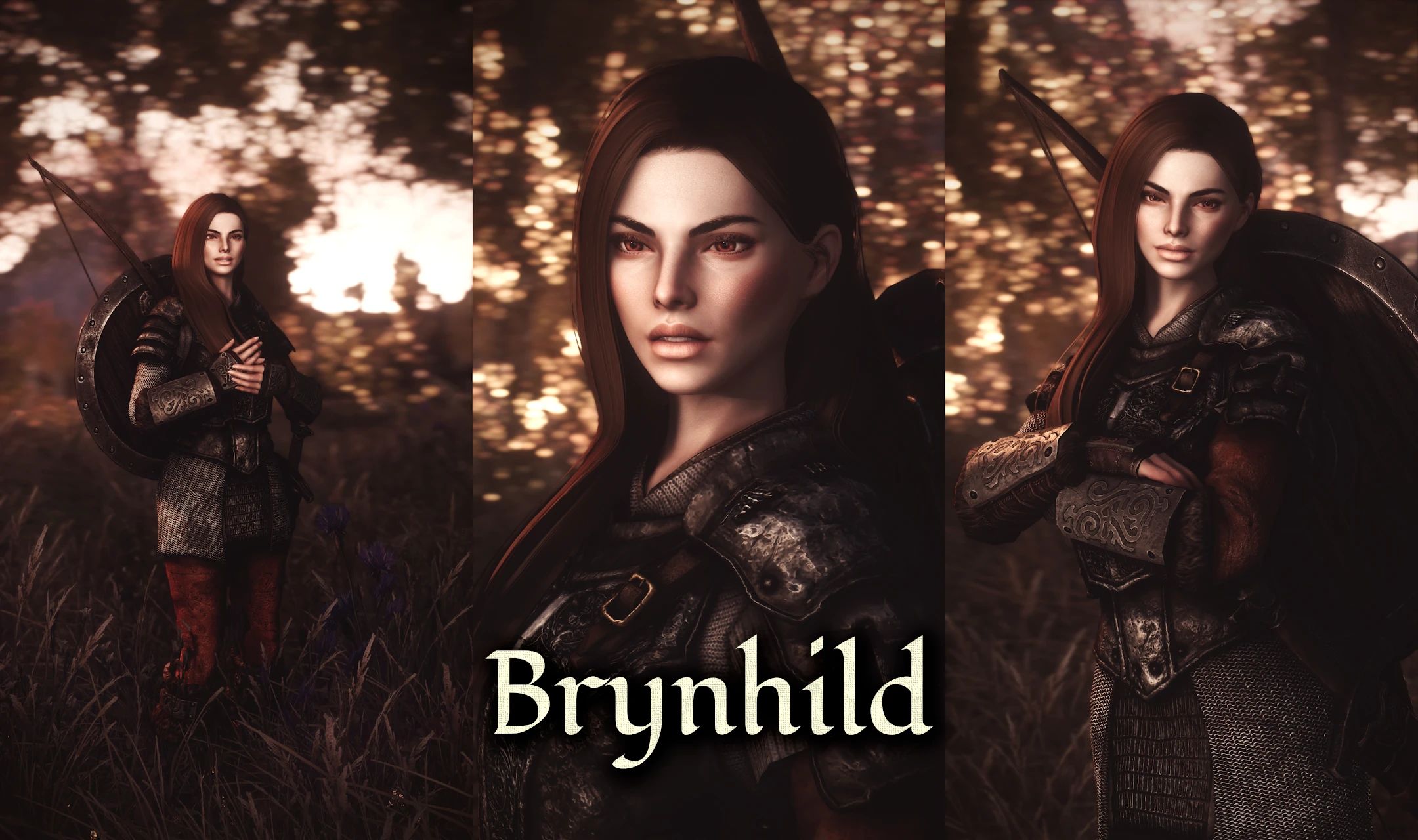 Shieldmaidens of Skyrim - Follower Pack mod for The Elder Scrolls V: Skyrim Special Edition