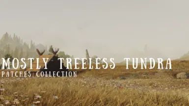 Mostly Treeless Tundra - Patches Collection mod for The Elder Scrolls V: Skyrim Special Edition